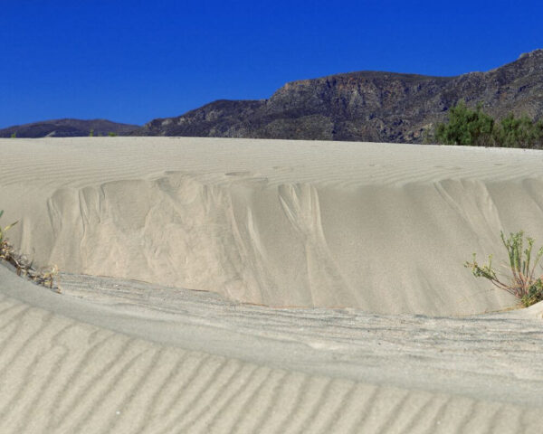 jeep safari elafonisi sand